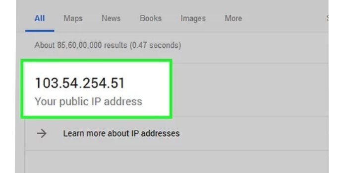 ip address on google