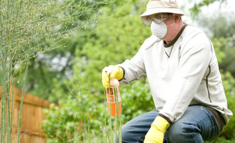 pest control softwares