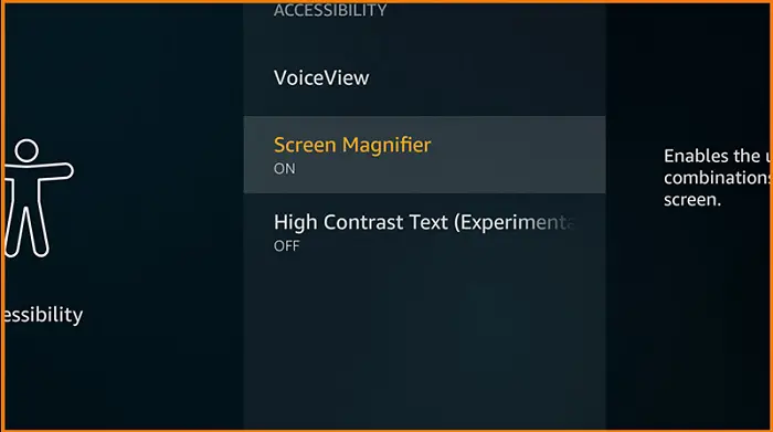magnifier on the screen