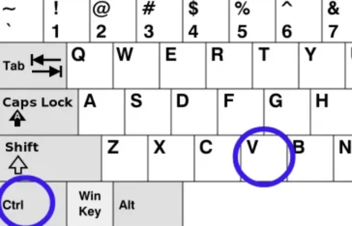 keyboard shortcut ctrl+v