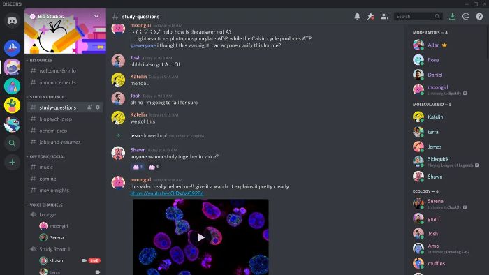server group in discord