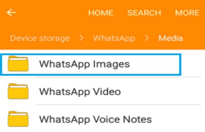 whatsapp save place of photos