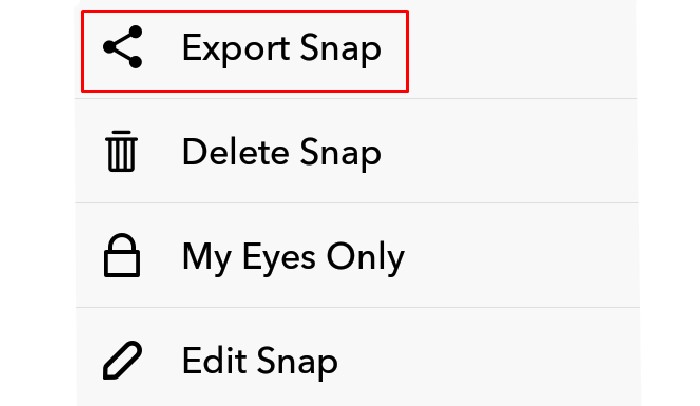 export snap
