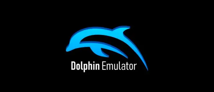 dophin emulator setting