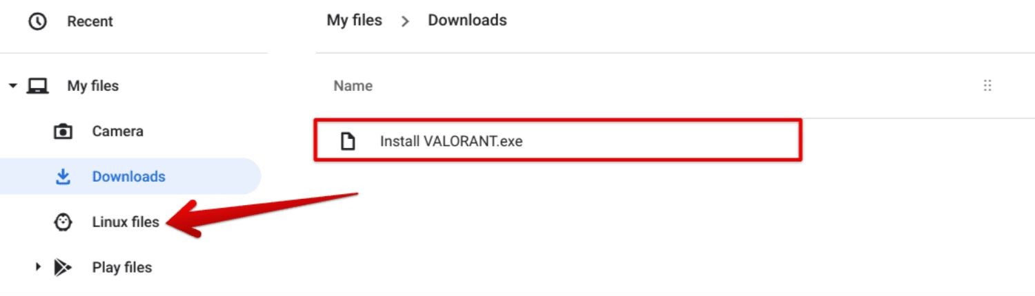 add valorant exe to linux files